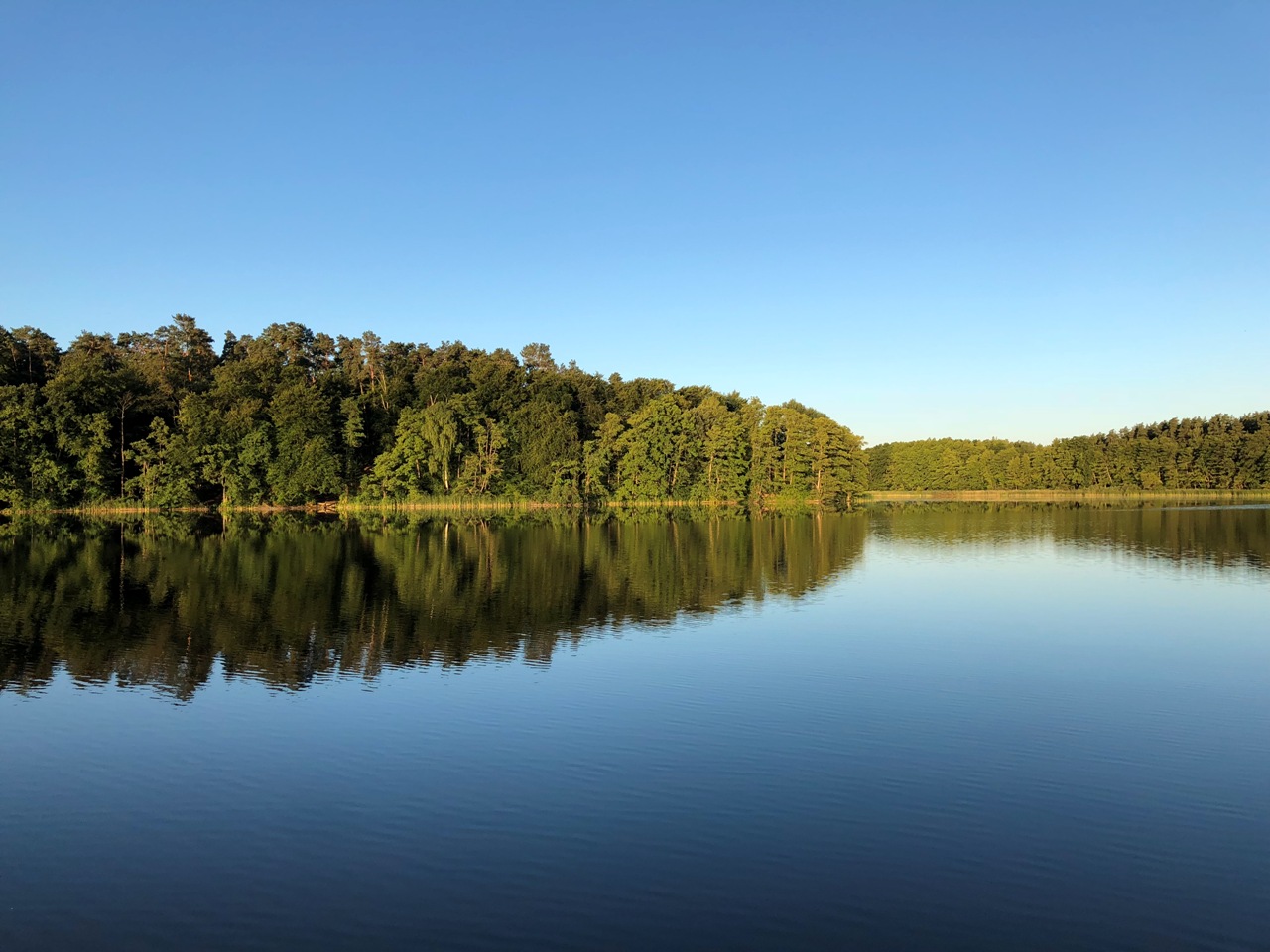 Windstille auf der Müritz