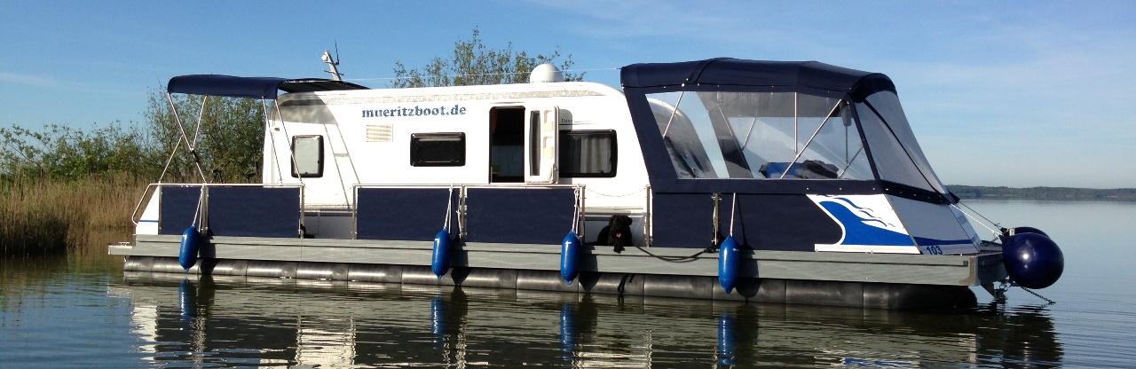 Wassercamper - Videos & Bilder